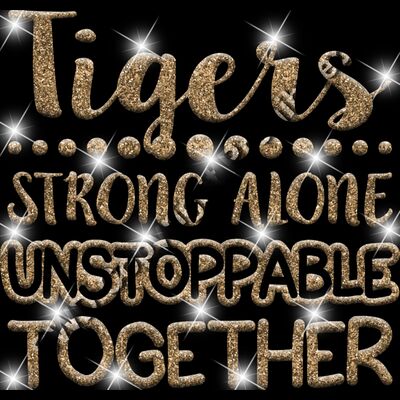 GLT87   GOLD GLITTER Thumbnail